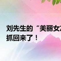 刘先生的“美丽女友”，抓回来了！