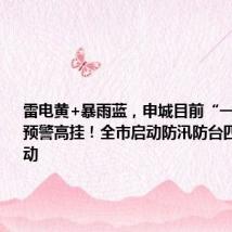雷电黄+暴雨蓝,申城目前“一蓝一黄”预警高挂!全市启动防汛防台四级响应行动