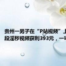 贵州一男子在“P站视频”上传345段淫秽视频获利393元,一审判了