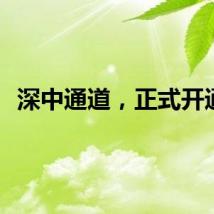 深中通道，正式开通！