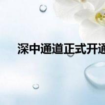 深中通道正式开通