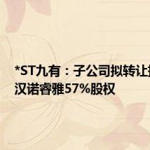 *ST九有:子公司拟转让持有的汉诺睿雅57%股权