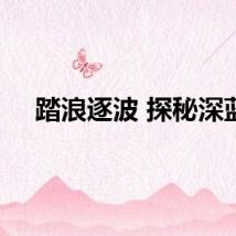 踏浪逐波 探秘深蓝