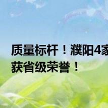 质量标杆！濮阳4家企业获省级荣誉！
