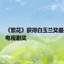 《繁花》获得白玉兰奖最佳中国电视剧奖