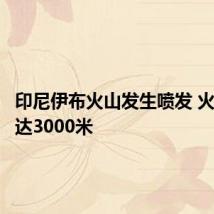 印尼伊布火山发生喷发 火山灰柱达3000米