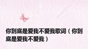 你到底是爱我不爱我歌词（你到底是爱我不爱我）