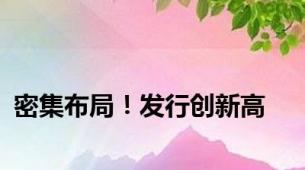 密集布局！发行创新高