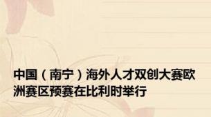 中国（南宁）海外人才双创大赛欧洲赛区预赛在比利时举行