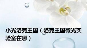 小光洛克王国（洛克王国微光实验室在哪）