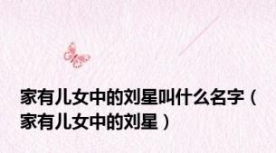 家有儿女中的刘星叫什么名字（家有儿女中的刘星）