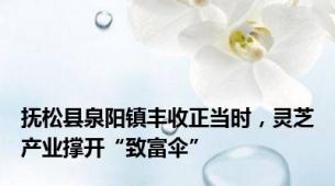 抚松县泉阳镇丰收正当时，灵芝产业撑开“致富伞”