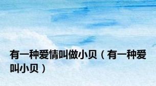 有一种爱情叫做小贝（有一种爱叫小贝）