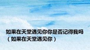 如果在天堂遇见你你是否记得我吗（如果在天堂遇见你）
