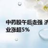 中药股午后走强 济川药业涨超5%
