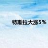 特斯拉大涨5%