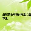 圣诞节吃苹果的寓意（圣诞节吃苹果）