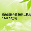税友股份今日涨停 二机构净买入1447.10万元