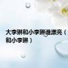 大李琳和小李琳谁漂亮（大李琳和小李琳）