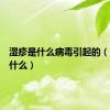 湿疹是什么病毒引起的（湿疹是什么）