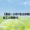【重庆一小区#业主砍断高空作业工人绳索#】