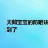 天鹅宝宝的防晒诀窍找到了