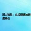 川大智胜：总经理杨波辞职 刘健波接任