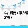 谁在爱我（谁在爱里下了毒）