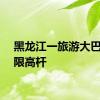 黑龙江一旅游大巴撞上限高杆