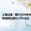 上海沿浦：预计2024年半年度净利润同比增92.29%左右