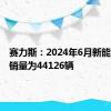 赛力斯：2024年6月新能源汽车销量为44126辆