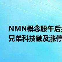NMN概念股午后拉升 兄弟科技触及涨停