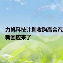 力帆科技计划收购高合汽车?最新回应来了
