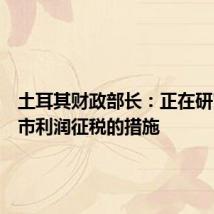 土耳其财政部长：正在研究对股市利润征税的措施