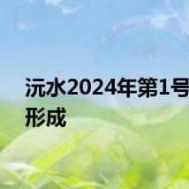 沅水2024年第1号洪水形成