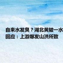 自来水发臭?湖北黄陂一水务公司回应:上游爆发山洪所致