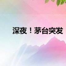 深夜！茅台突发！