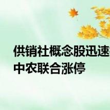 供销社概念股迅速拉升 中农联合涨停