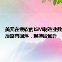 美元在疲软的ISM制造业数据公布后略有回落,现持续回升