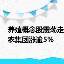 养殖概念股震荡走高 神农集团涨逾5%