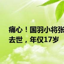 痛心!国羽小将张志杰去世,年仅17岁