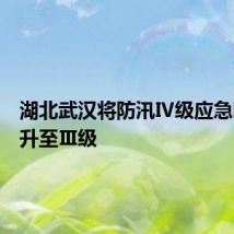 湖北武汉将防汛Ⅳ级应急响应提升至Ⅲ级