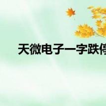 天微电子一字跌停