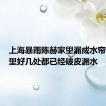 上海暴雨陈赫家里漏成水帘洞:家里好几处都已经破皮漏水