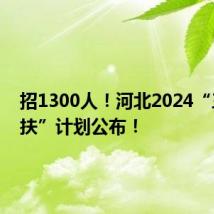招1300人!河北2024“三支一扶”计划公布!