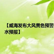 【威海发布大风黄色预警和强降水预报】