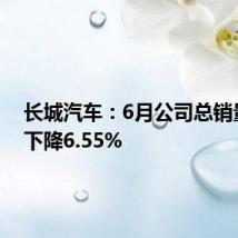 长城汽车:6月公司总销量同比下降6.55%