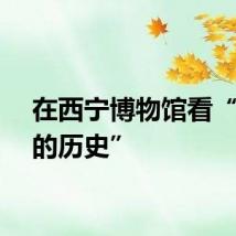 在西宁博物馆看“行走的历史”