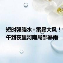 短时强降水+雷暴大风!今天下午到夜里河南局部暴雨