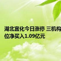 湖北宜化今日涨停 三机构专用席位净买入1.09亿元